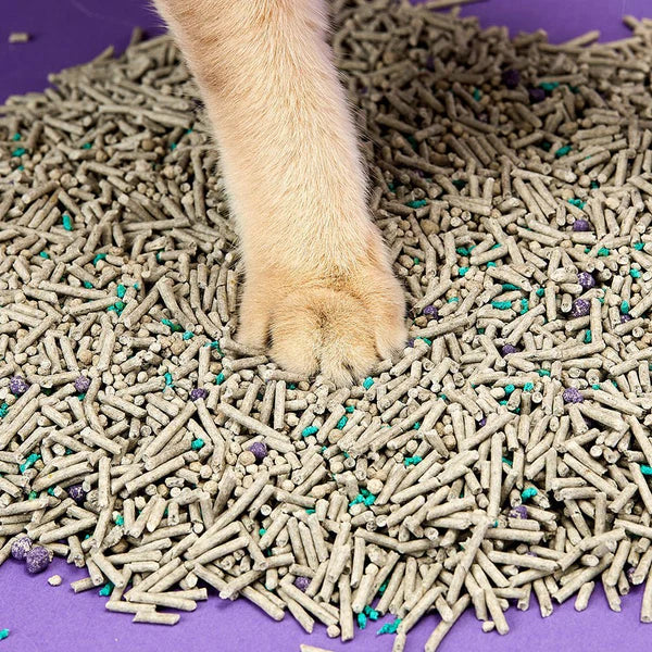 Flushable Clumping Cat Litters - 2 Bags